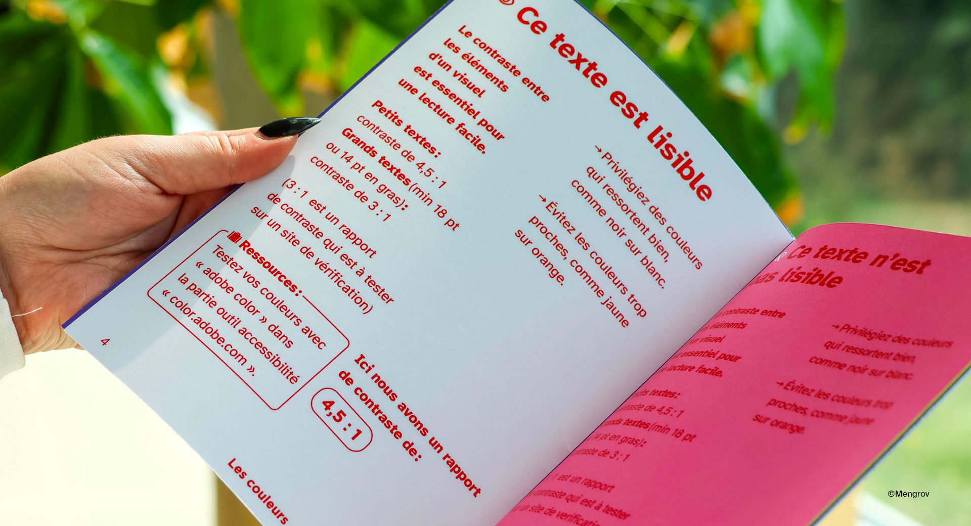 Extrait du guide de l’accessibilité graphique Mengrov et Atipy