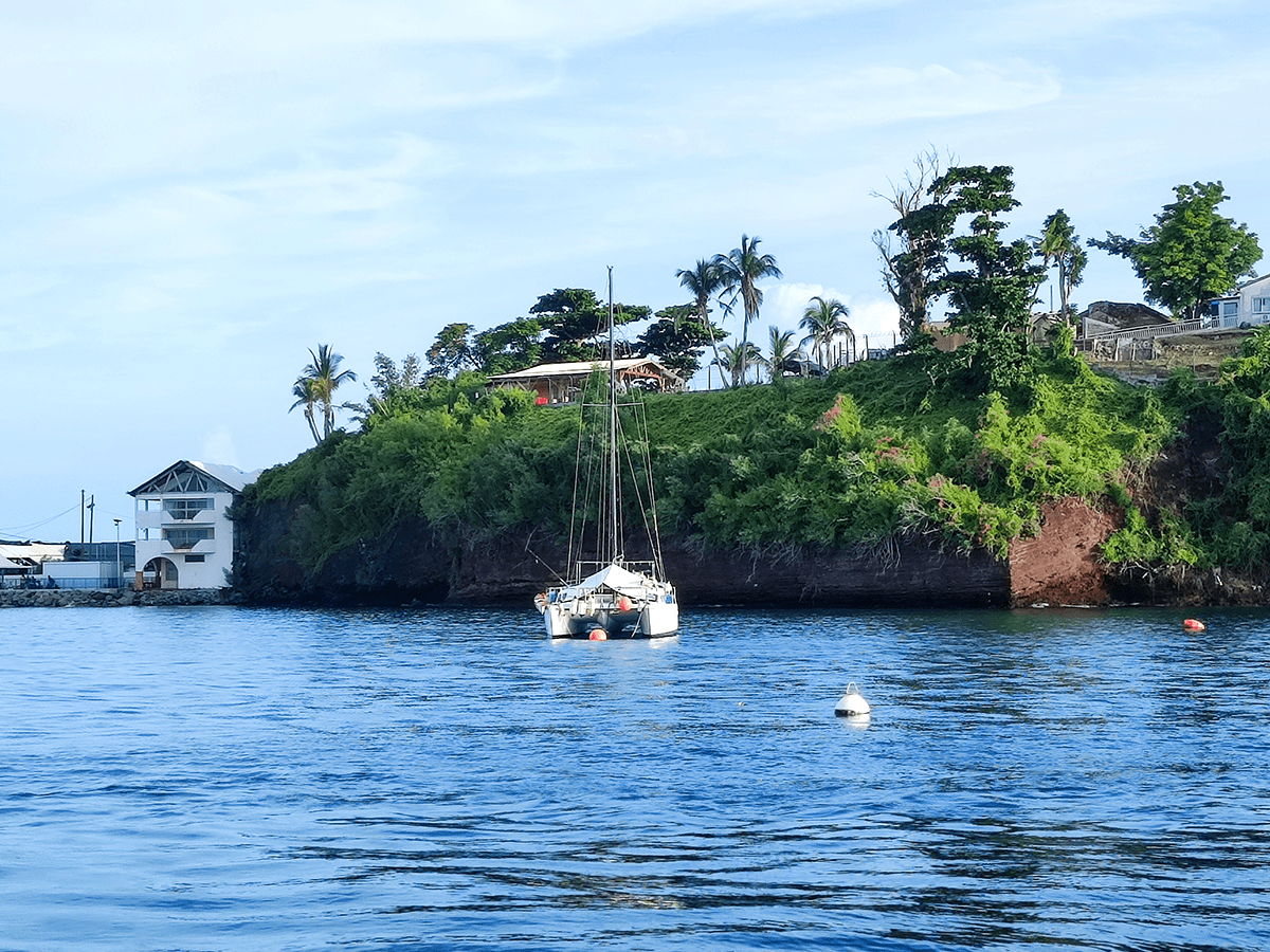 Voilier blanc amarré devant une côte verdoyante avec palmiers et maisons en bord de mer à Mayotte