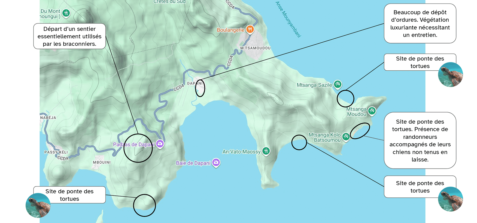 Carte de Dapani à Mayotte avec zones cerclées et annotations sur sentier, déchets et sites de ponte des tortues