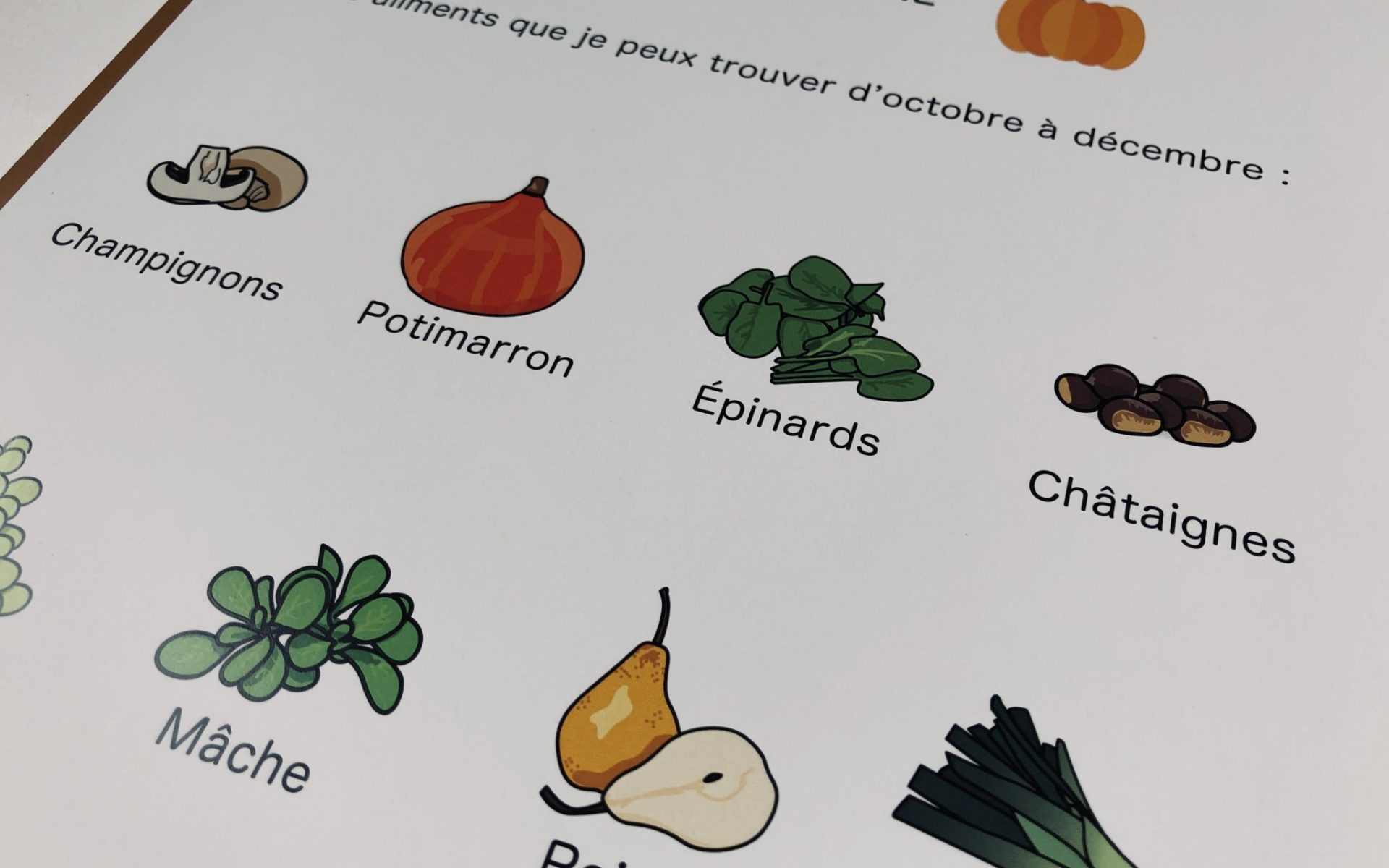 Pictogrammes de légumes d’automne avec les mots Champignons, Potimarron, Épinards, Châtaignes et Mâche