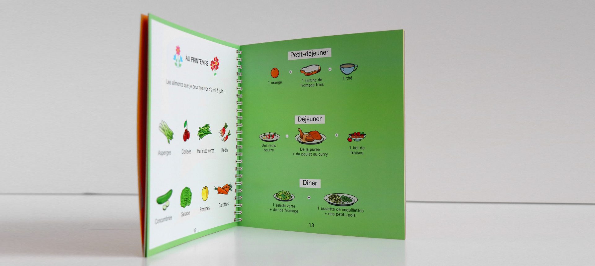Livre à spirale ouvert avec menus illustrés, intitulés Petit-déjeuner, Déjeuner et Dîner sur fond vert